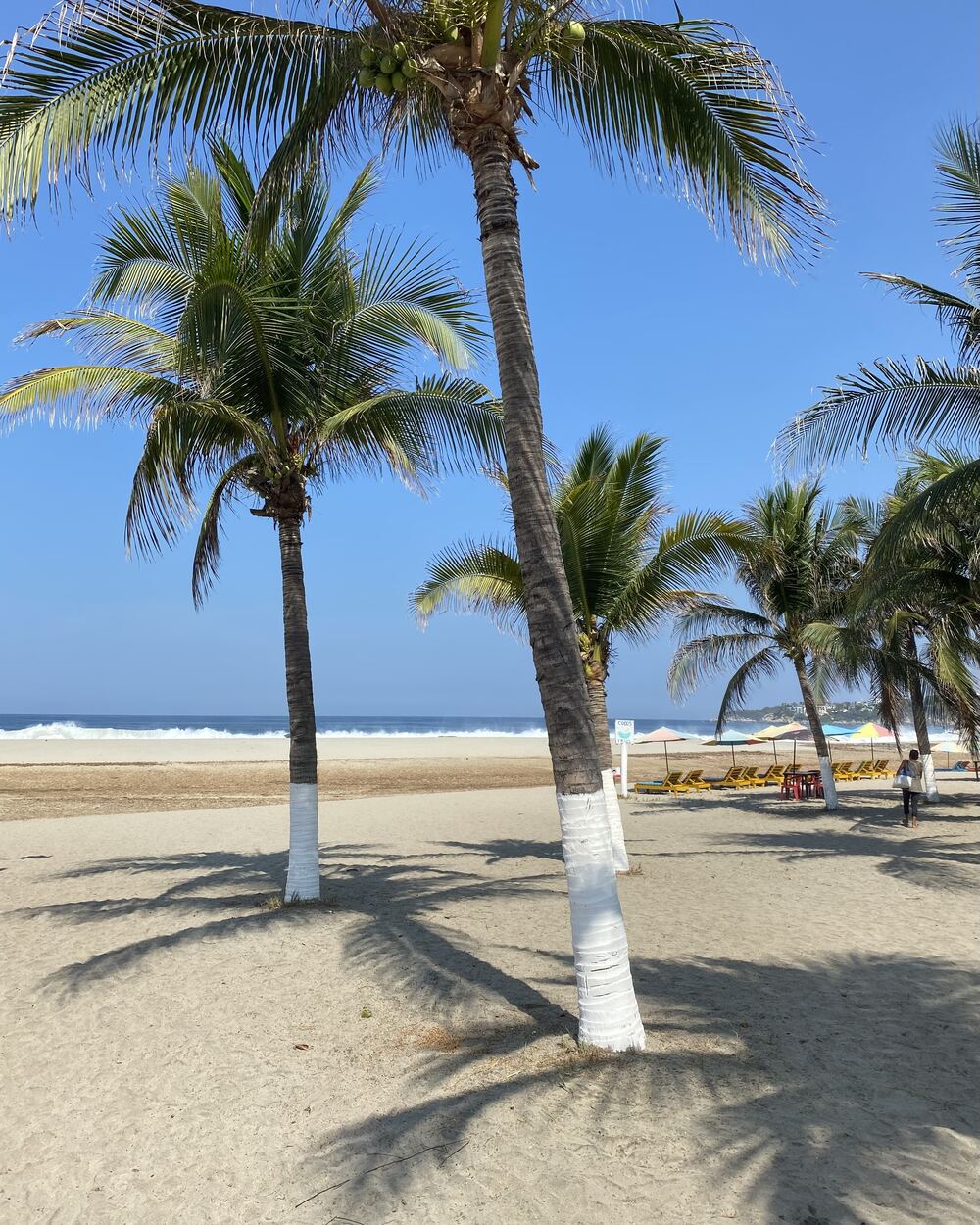 Palmen am Sandstrand von Puerto Escondido im Bundesstaat Oaxaca mit Blick auf den Pazifik